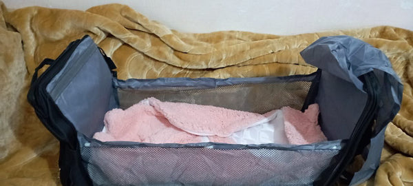 نور الجابري